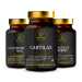 Cartilax